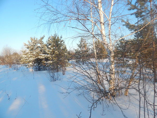 Нина Васильевна Бабкина