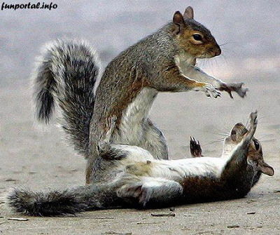 Галиева Ирина