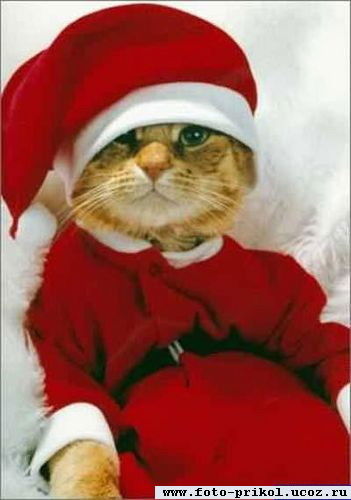 Игорь Нереуцкий