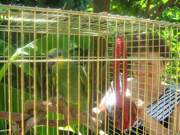 Марина Бобрикова