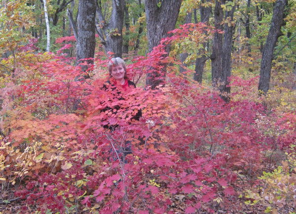 Елена Гладкова