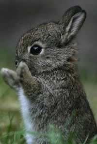 Владислав Заяц