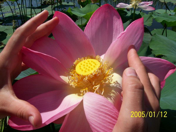 Юлия Мейранс