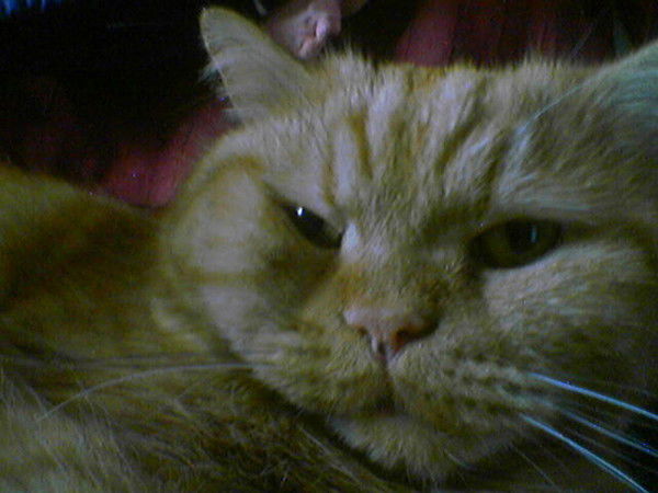 Юрий Кулагин