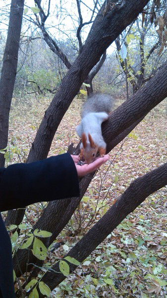 Натали Ситанова