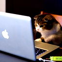 Максим Трембач