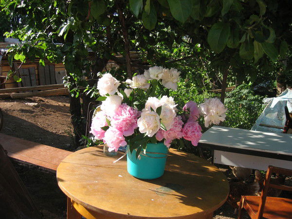 Людмила Иванова