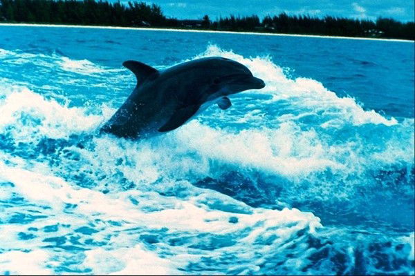 Гульнар Ембергенова