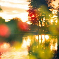 Алишер Яхудаев