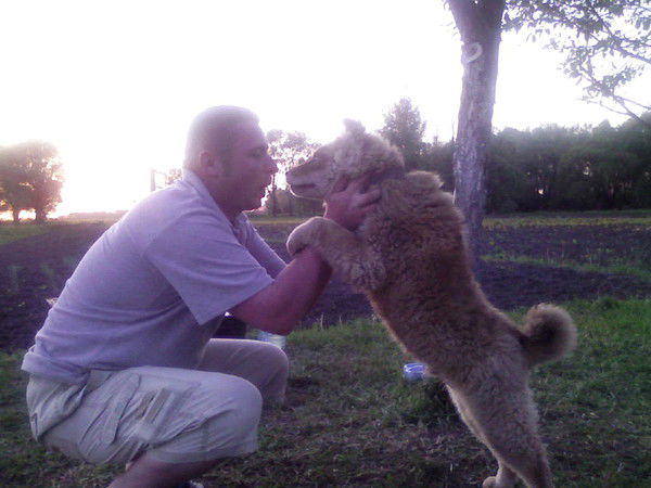 Руслан Катан