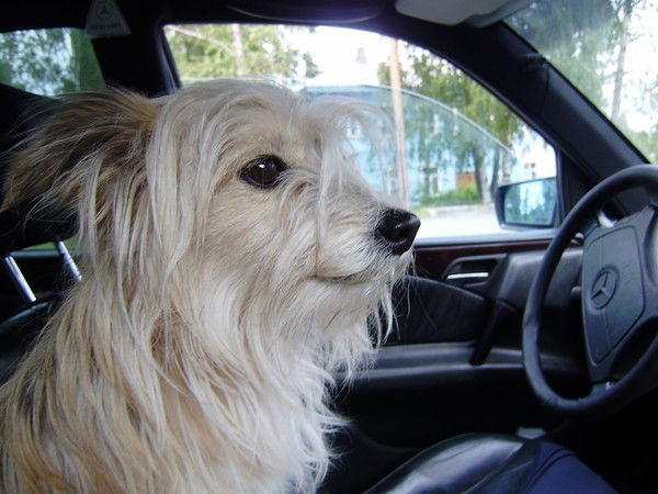 Ольга Кузина