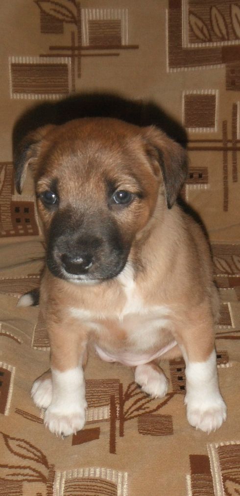 Наталья Горшкова