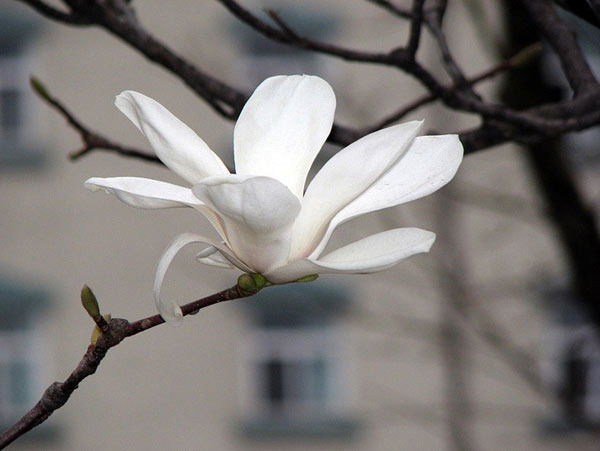 Валя Щербак