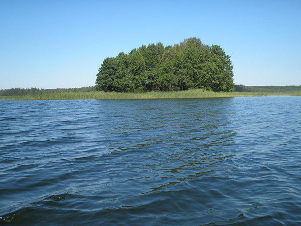 Юлия Алекбатур