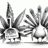 Виктор Амосов