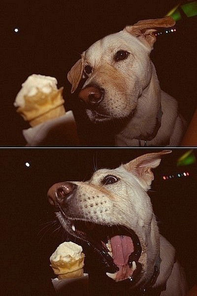 Андрей Нэкиджеев