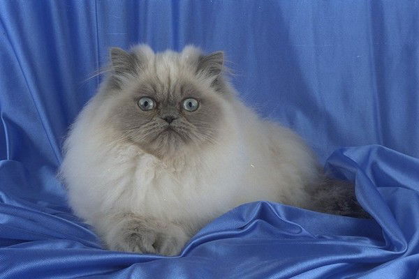 Екатерина Журавлева