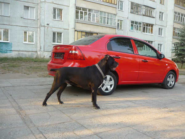 Татьяна Киселёва