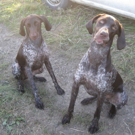 Андрей Блинков