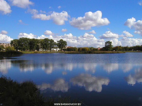 Александр Даминицкий