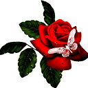 Оксана Цыганкова