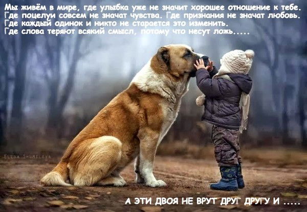 Сергей Овечкин