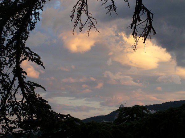 Татьяна Гуд