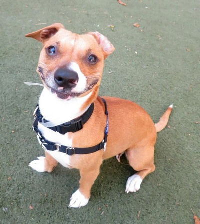 Егор Радцев