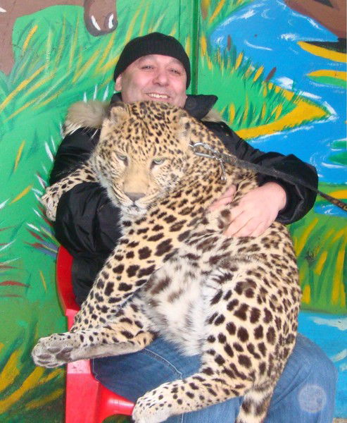 Аркадий Акопов