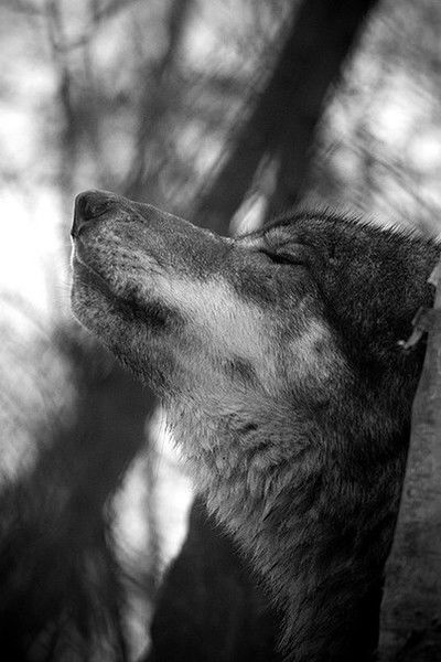 Валера Мальшаков