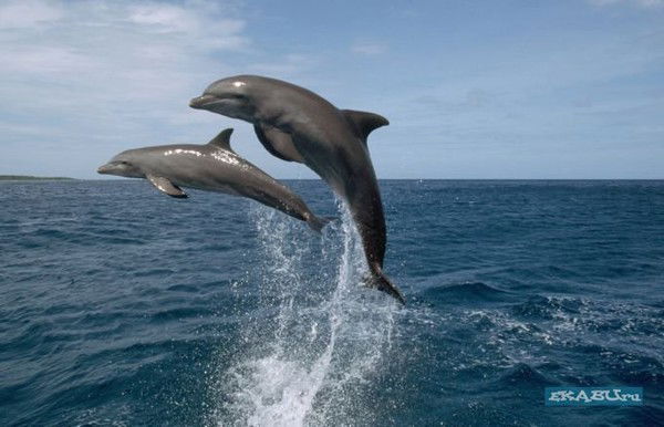 Любовь Юркова