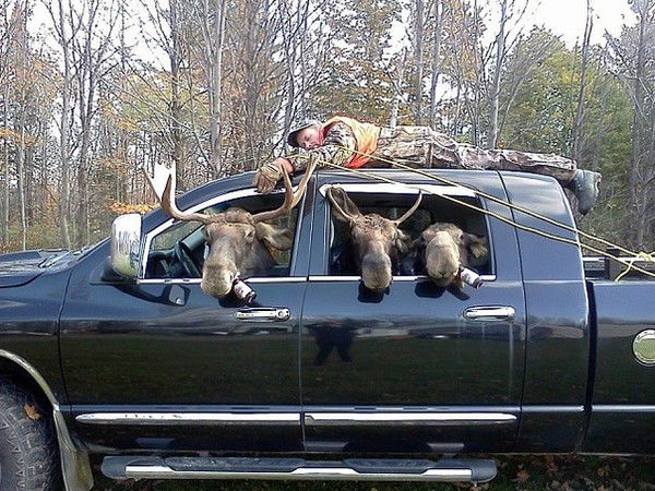 Евгений Кореньков