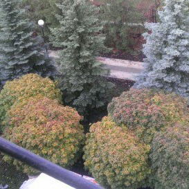 Сергей Воробьёв