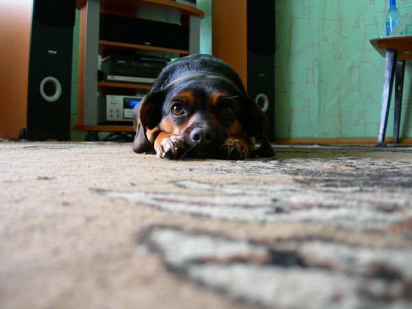 Андрей Зайцев