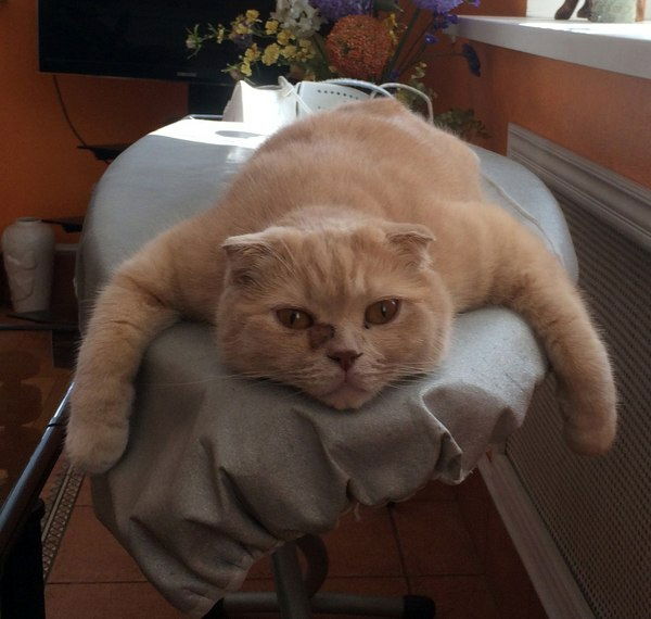 Николай Зайцев