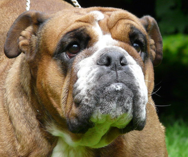 Ксюха Малютина