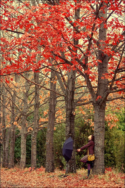 Тоо "dad Plast Kz"