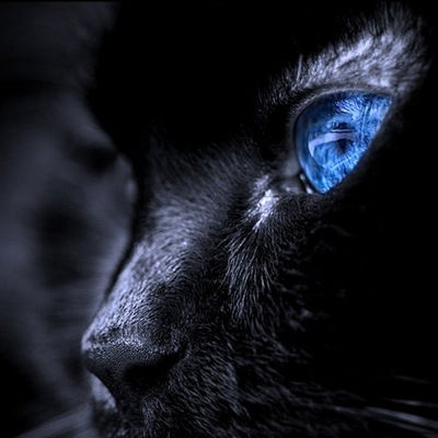 Елена Башарина