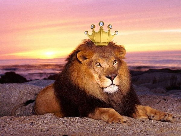 Мейржан Жунусов