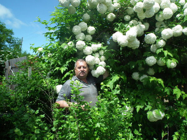 Николай Довбыш