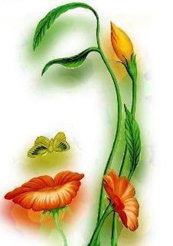 Жанбота Кабдыкаримова