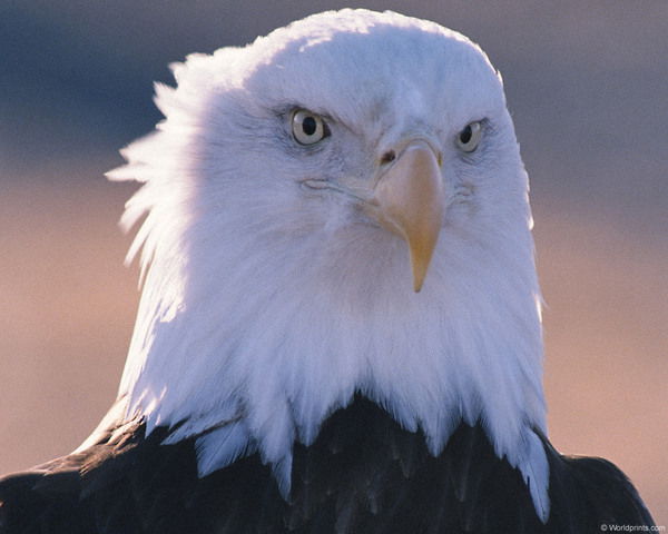 Асылхан Абдыханов