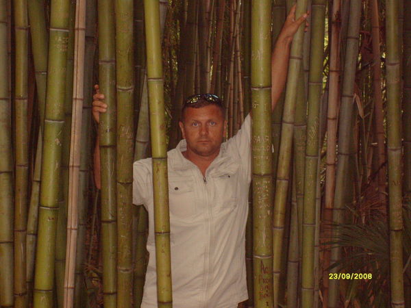 Игорь Типикин