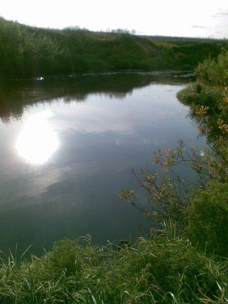 Андрей Батиевский