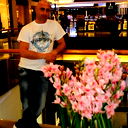 Pashik Bivazi
