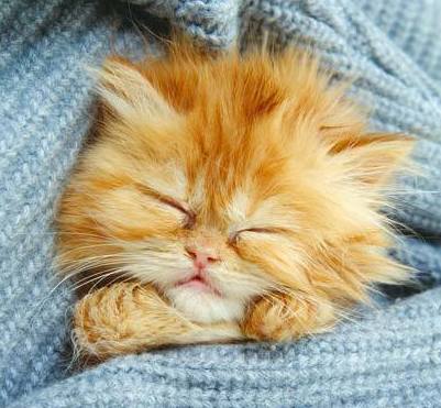 Ольга Иванова