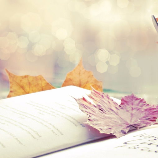 Марина Кітченко