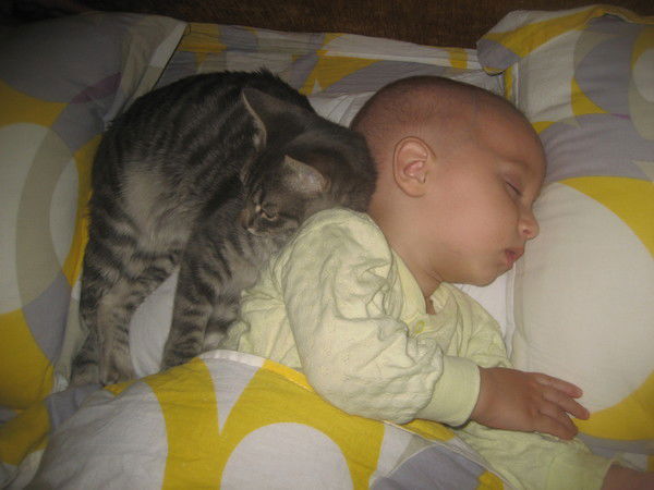 Володя И Алена Ивановы