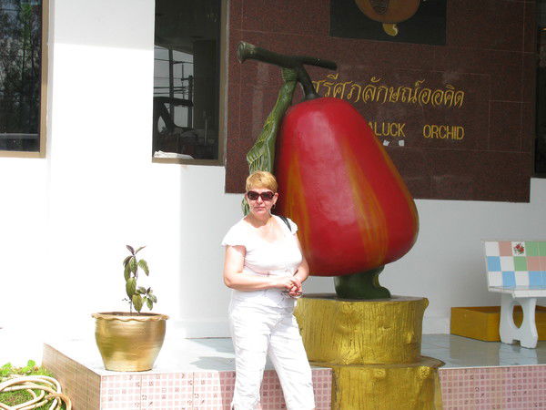 Светлана Косоногова