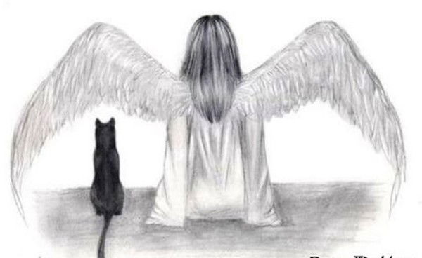 Хелависа ...